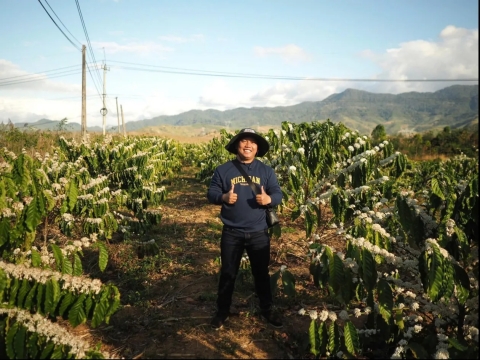 Tuyển chọn hạt Arabica & Robusta