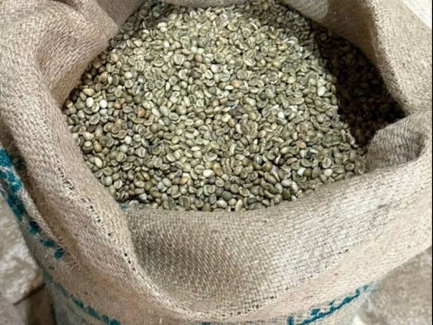 Kiểm định chất lượng & Cupping