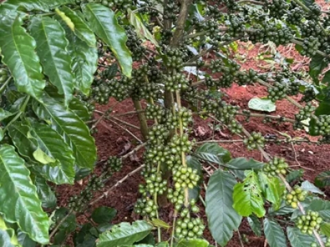 Đóng gói & Bảo quản tiêu chuẩn